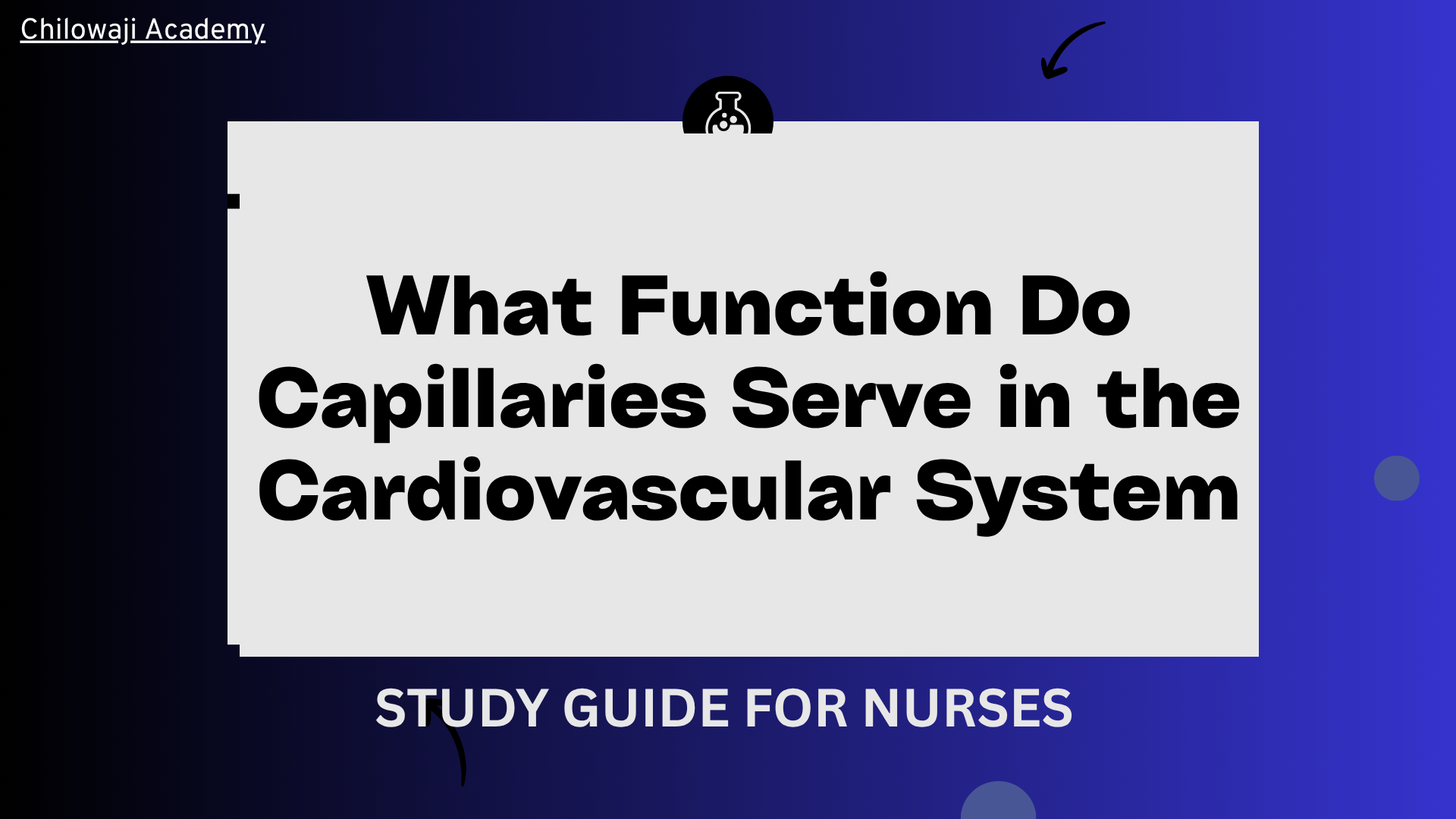 What Function Do Capillaries Serve in the Cardiovascular System? Roles, Regulation, and Clinical Relevance